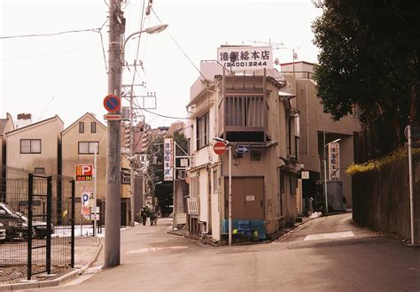 仿真植物風水 y字路 風水